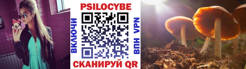 Галлюциногенные грибы GOLDEN TEACHER Невель